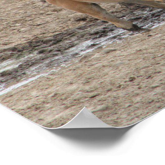 馬と馬を育てる ポスター (角)