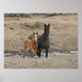 馬と馬を育てる ポスター (正面)