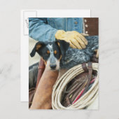 馬に乗ったカウボーイと犬 ポストカード (正面/裏面)