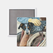 馬に乗ったカウボーイと犬 マグネット (正面/裏面)