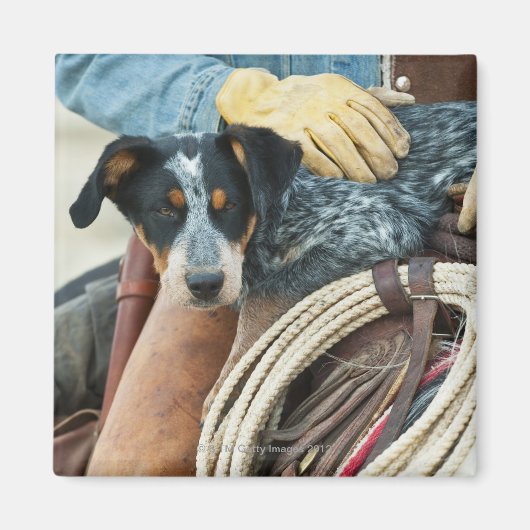 馬に乗ったカウボーイと犬 マグネット (正面)