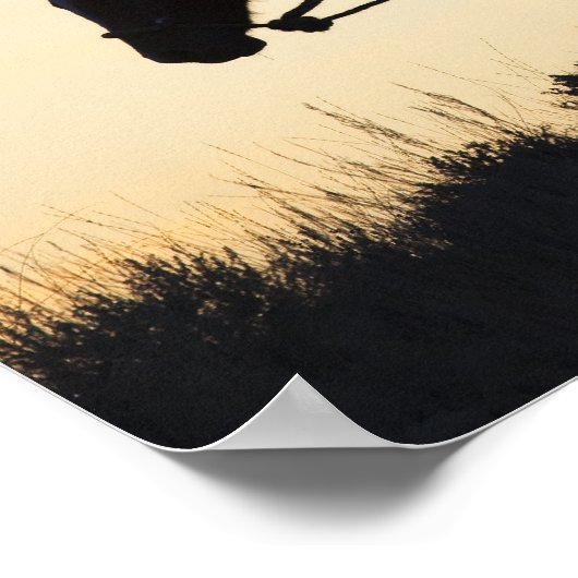 馬に乗った女性のカーボーイのシルエット ポスター (角)