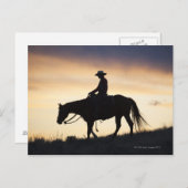 馬に乗った女性のカーボーイのシルエット ポストカード (正面/裏面)