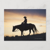 馬に乗った女性のカーボーイのシルエット ポストカード (正面)