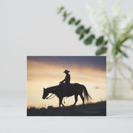 馬に乗った女性のカーボーイのシルエット ポストカード (スタンド正面)