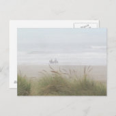 馬に乗るビーチ葉書 ポストカード (正面/裏面)