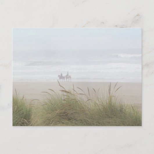 馬に乗るビーチ葉書 ポストカード (正面)