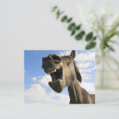 馬のあくびをする ポストカード (スタンド正面)