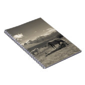 馬のある風景 ノートブック (右側)