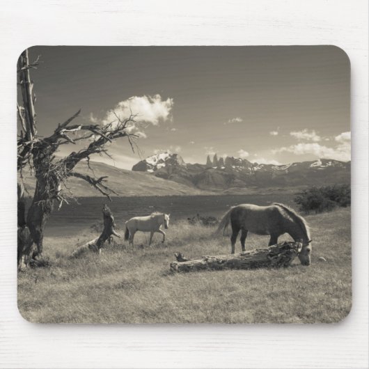 馬のある風景 マウスパッド (正面)