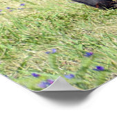 馬のいなき ポスター (角)