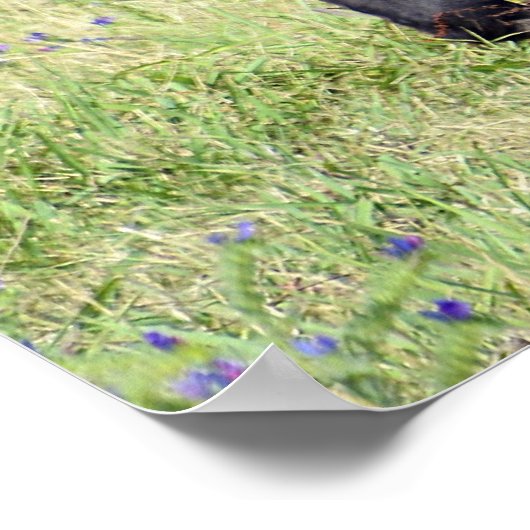 馬のいなき ポスター (角)