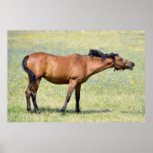 馬のいなき ポスター (正面)