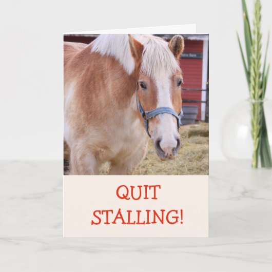 馬のおもしろいジョークのプンカードを取得 カード (正面)