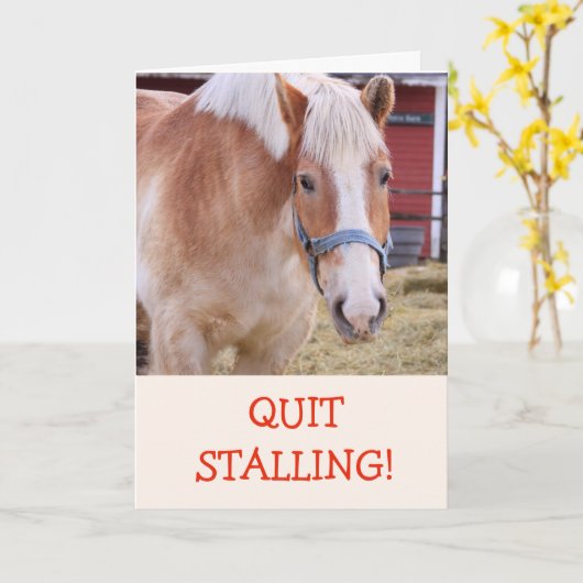 馬のおもしろいジョークのプンカードを取得 カード (黄色い花)