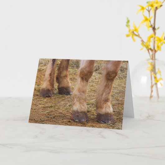 馬のおもしろい脚が上手になる カード (黄色い花)