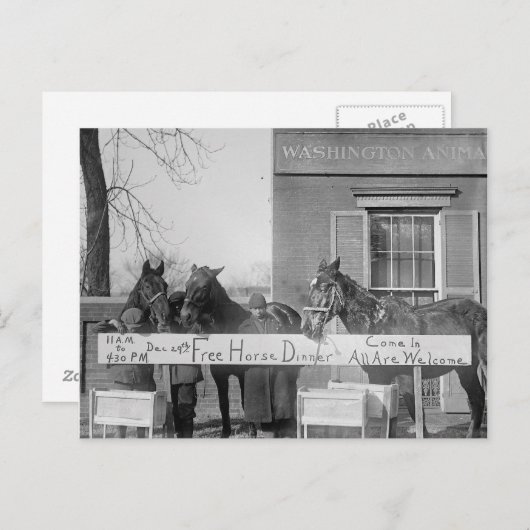 馬のための無料ディナー, 1923 ポストカード (正面/裏面)