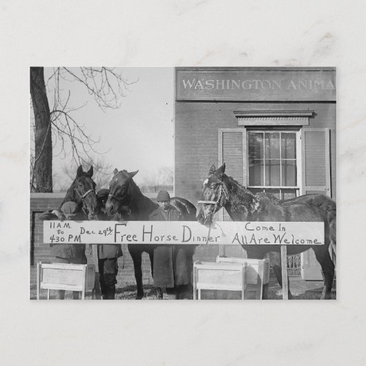 馬のための無料ディナー, 1923 ポストカード (正面)