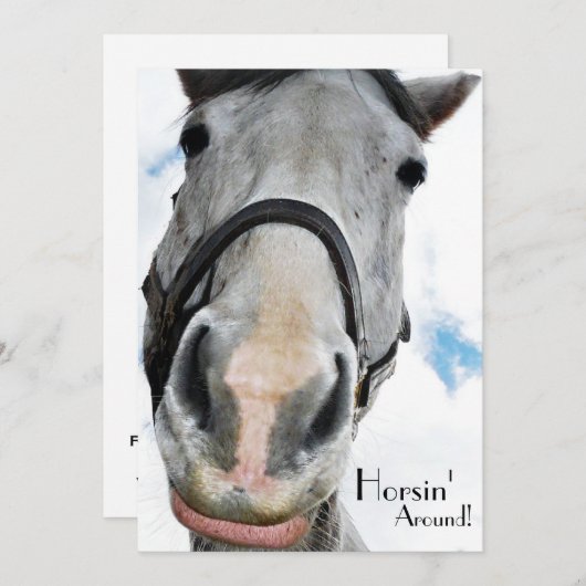 馬のまわりに馬のおもしろい顔 招待状 (正面/裏面)