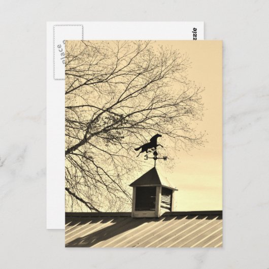 馬のウェザーベーンセピア ポストカード (正面/裏面)