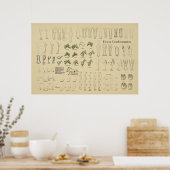 馬のウマ科のコンフォメーションチャートの脚の歩行 ポスター (キッチン)