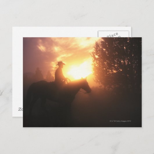 馬のカウボーイのシルエット ポストカード (正面/裏面)