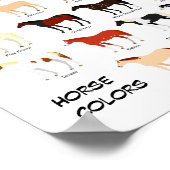 馬のカラーチャートのポスター ポスター (角)