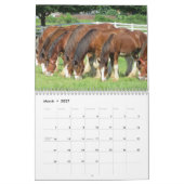 馬のカレンダー カレンダー (3月 2027)
