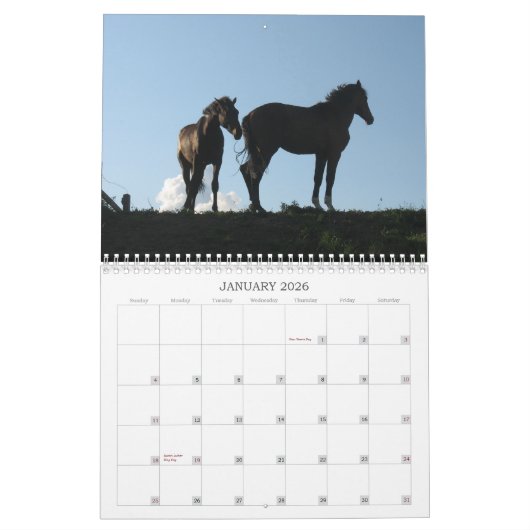 馬のカレンダー カレンダー (1月 2026)