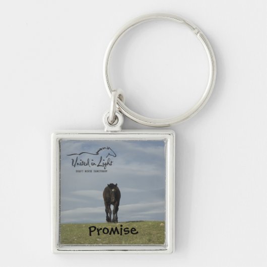 馬のキーホルダー キーホルダー (正面)