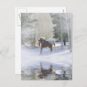 馬のクリスマスはがき シーズンポストカード (正面/裏面)