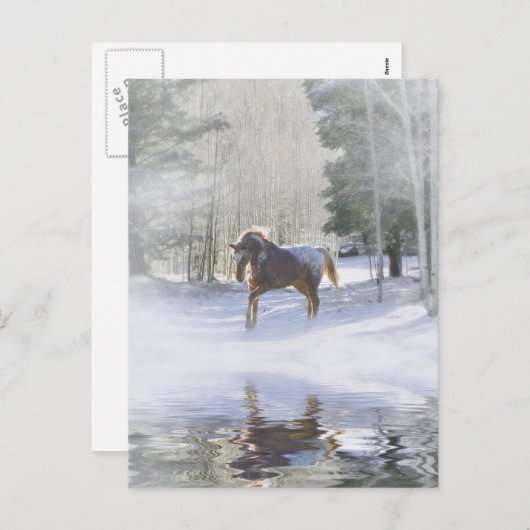 馬のクリスマスはがき シーズンポストカード (正面/裏面)