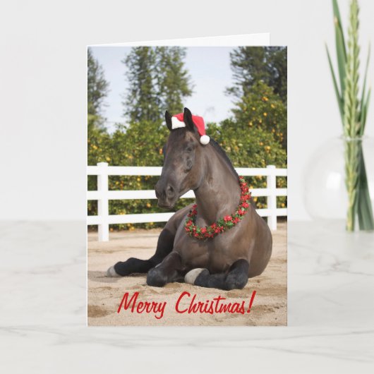 馬のクリスマスカード シーズンカード (正面)