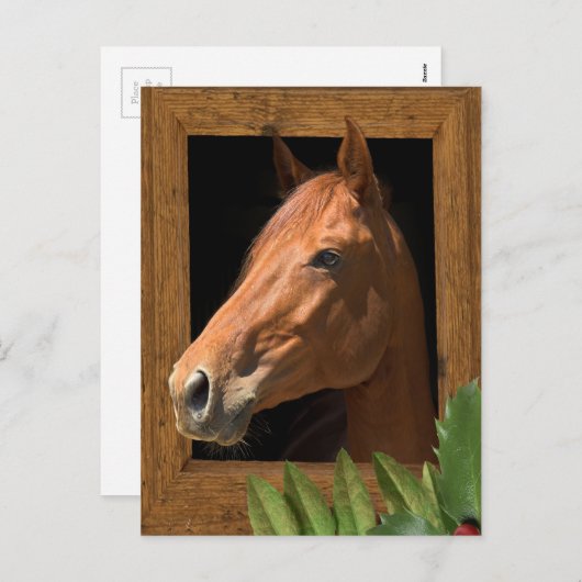 馬のクリスマス シーズンポストカード (正面/裏面)