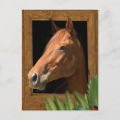 馬のクリスマス シーズンポストカード (正面)