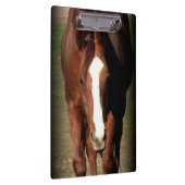 馬のクリップボード クリップボード (右)