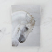 馬のグリーティングカークラシカルド – スペインの Stallion カード (内部)