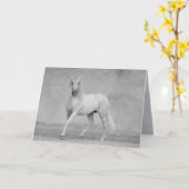 馬のグリーティングカークラシカルド – スペインの Stallion カード (黄色い花)