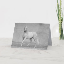 馬のグリーティングカークラシカルド – スペインの Stallion カード