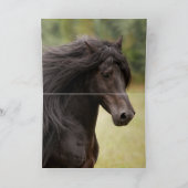 馬のグリーティングカード – おとぎ話スタリオンジャンプ カード (内部)