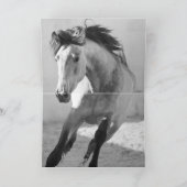 馬のグリーティングカード – タッチダウン カード (内部)