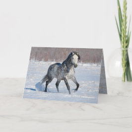 馬のグリーティングカード – ダップドグレー雪のスタリオン カード