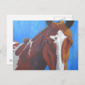 馬のグリーティングカード ポストカード (正面/裏面)