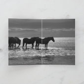 馬のグリーティングカード – 日没の4頭の馬 カード (内部)