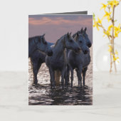 馬のグリーティングカード – 日没の4頭の馬 カード (黄色い花)