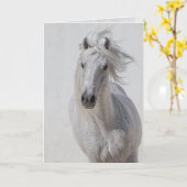 馬のグリーティングカード – 白いスタリオン走アップ カード (黄色い花)