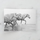 馬のグリーティングカード-白馬の友人2人 カード (内部)