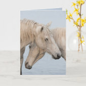 馬のグリーティングカード – 2の力 カード (黄色い花)