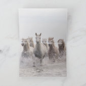 馬のグリーティングカード – 3つの白い馬のスプラッシュ カード (内部)