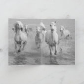 馬のグリーティングカード – Camargue Horses Watching カード (内部)